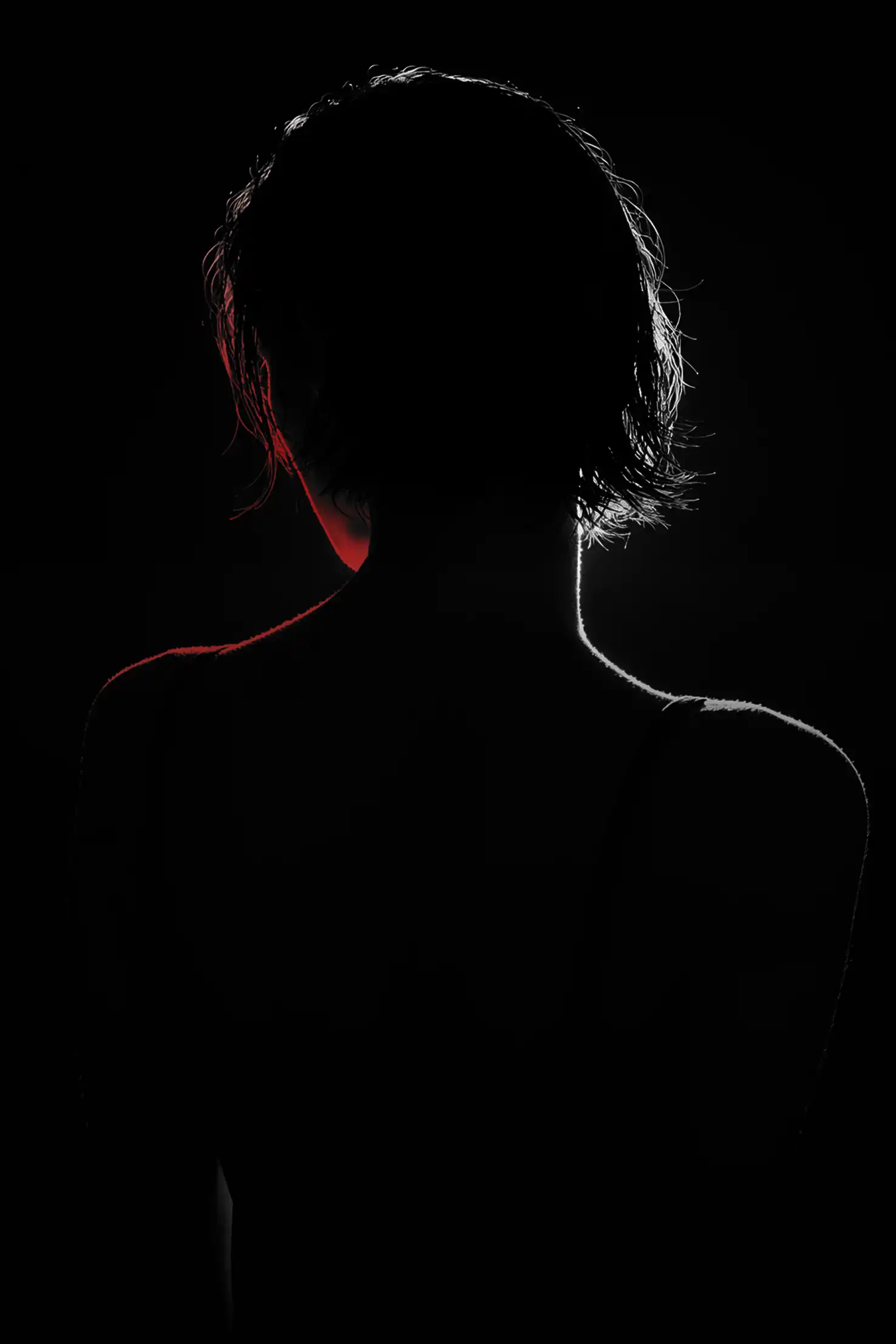 Силуэт автора книги